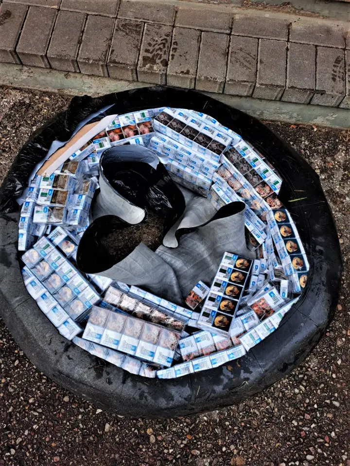 plau20230303 cig plaust 2 1 jpeg