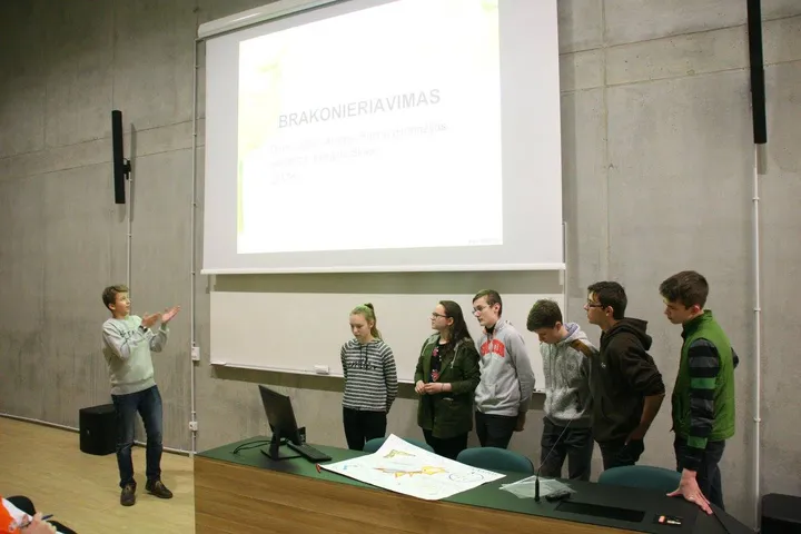 projektu turnyre