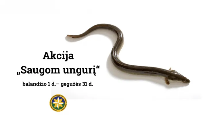 ungur3323 02fd565ffd45a100b15176c205a15c1c