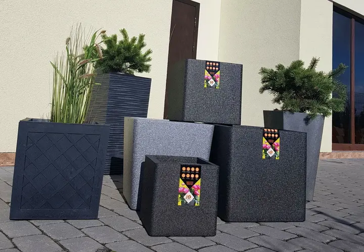 vazonai scaled