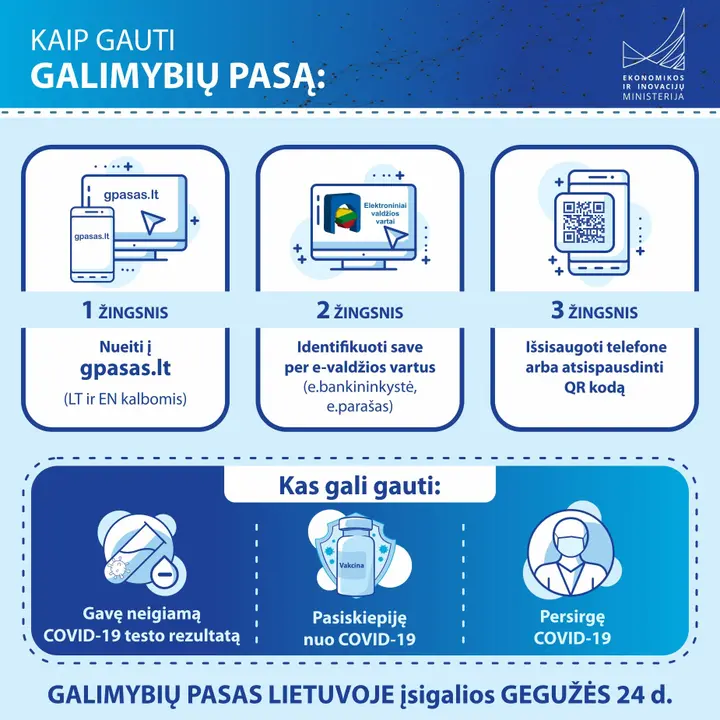 vizualas gp