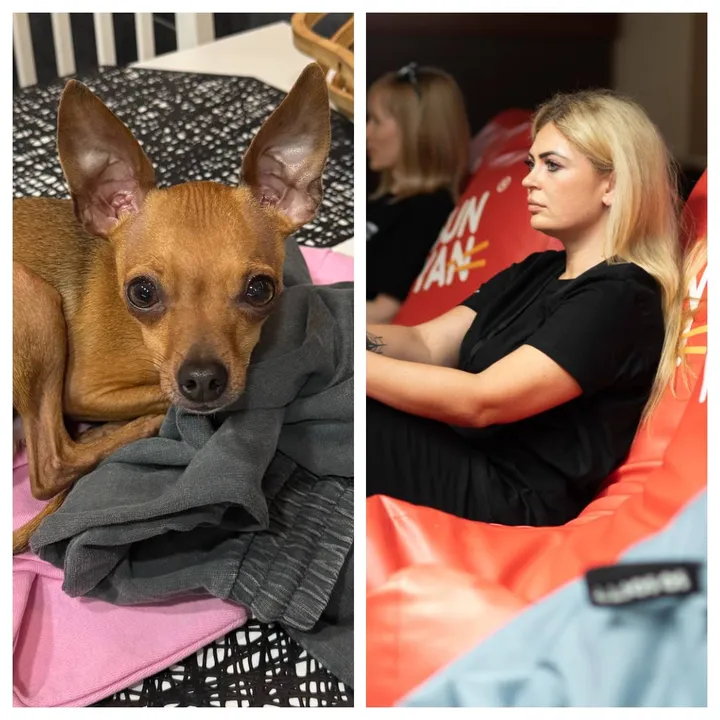 Indrė ir Žirnis