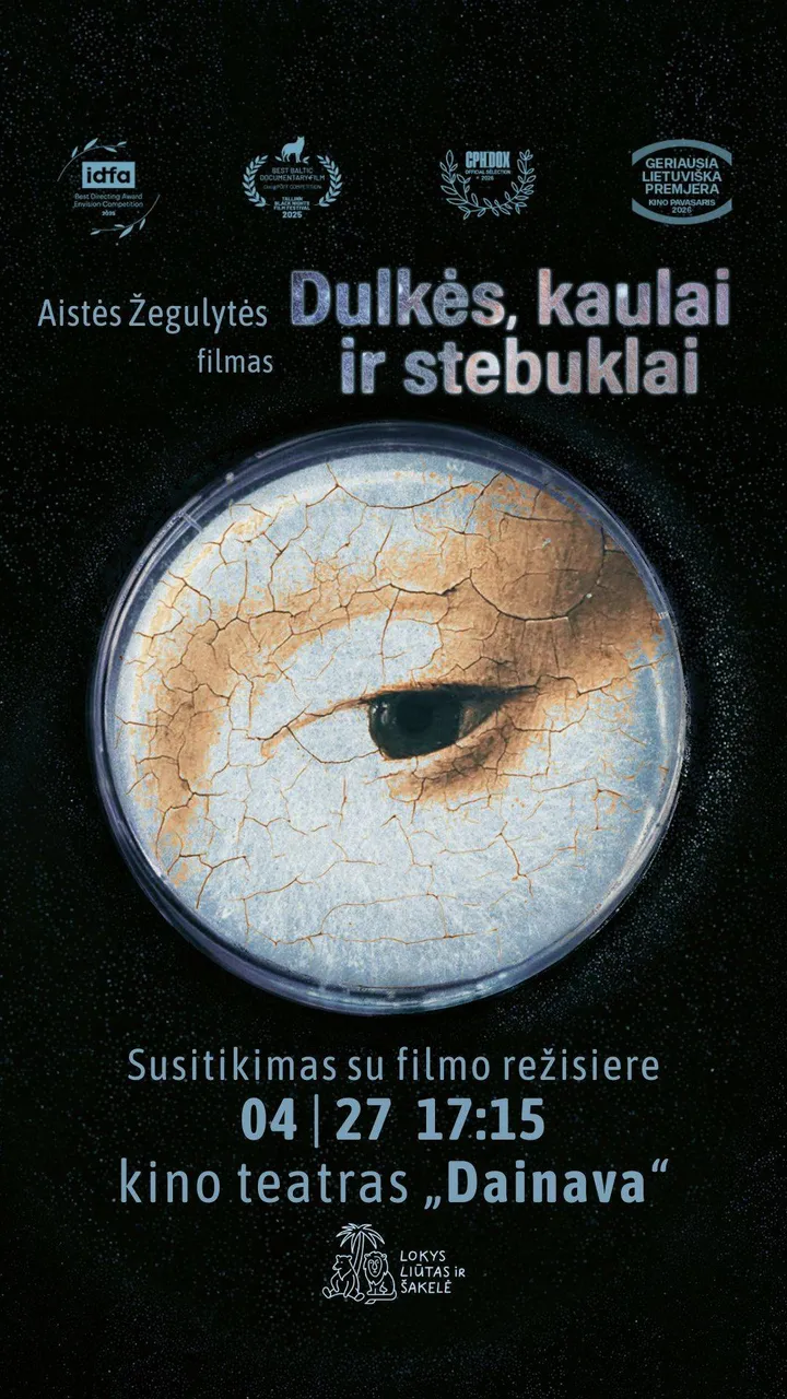 story Duklės, kaulai ir stebuklai 202604 27 DAINAVA