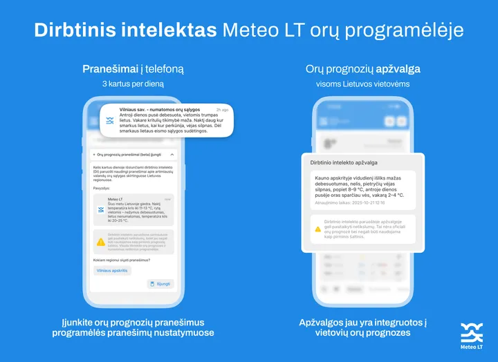 DI pranešimai