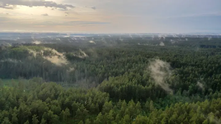 DJI_0008 1 (1)