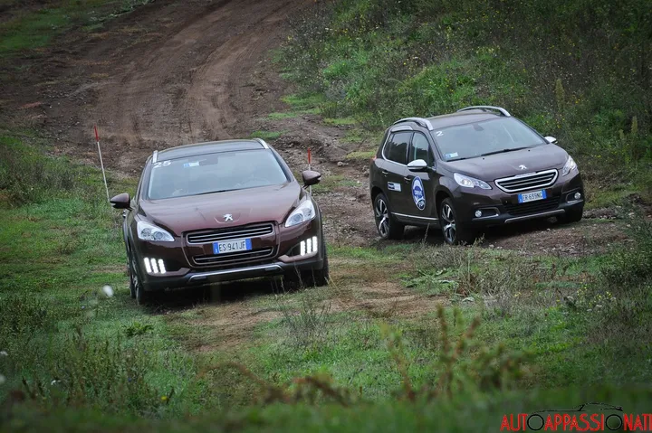 Peugeot DriveFun 24