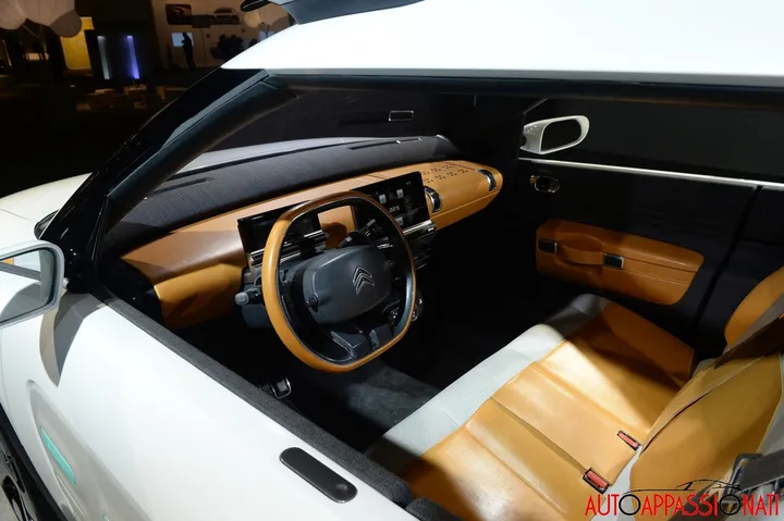 Interni Citroen C4 Cactus