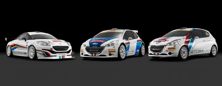 GRUPPO MOTORSPORT