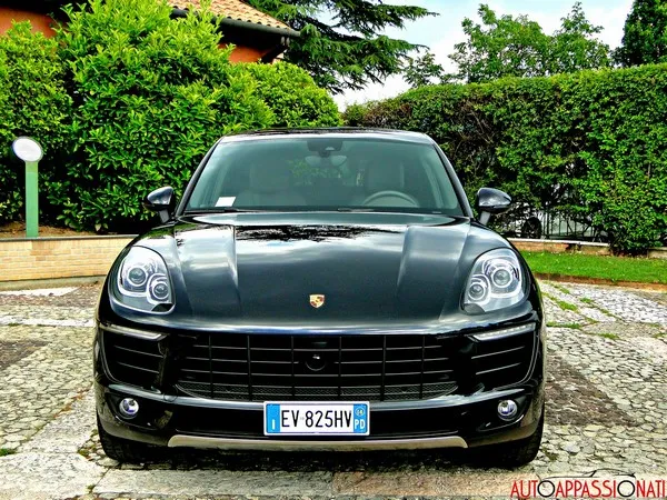 Macan 01