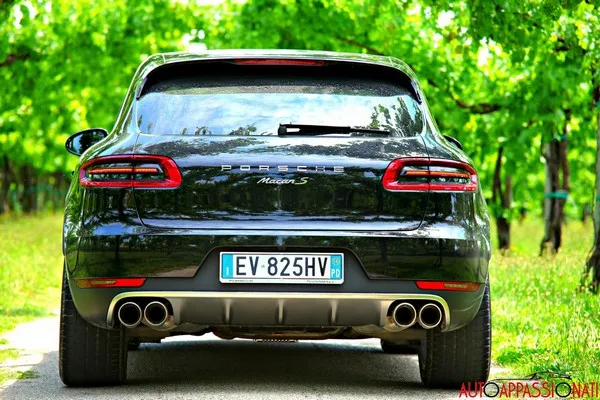 Macan 02