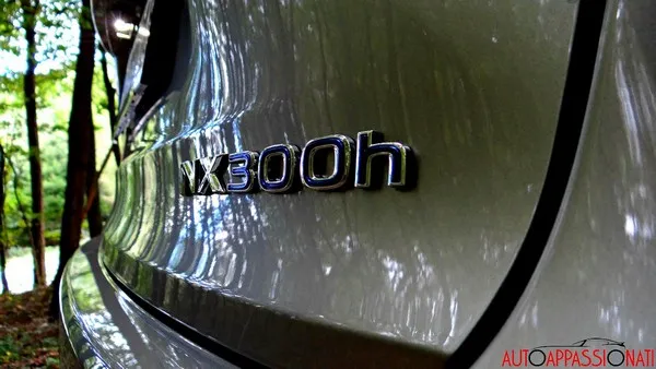 Lexus NX 06