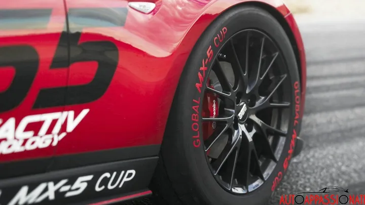 Cup 0003