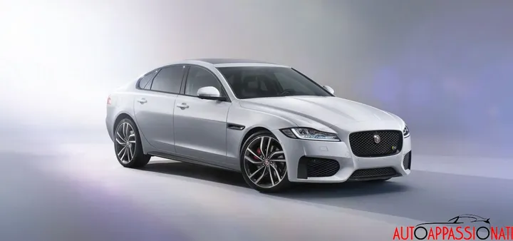 Jaguar 0002