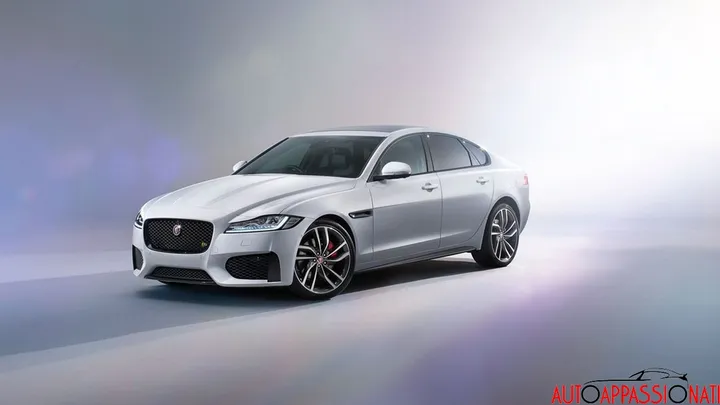 Jaguar 0003