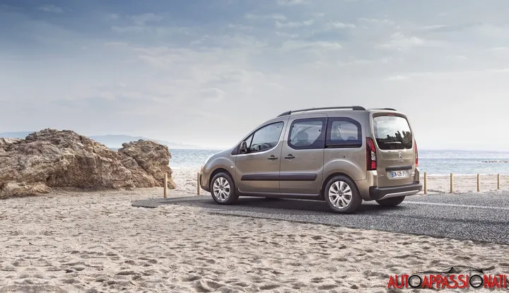 Citroen Berlingo 12