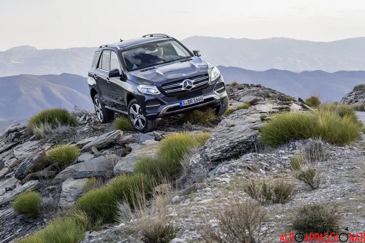 SUV 0004