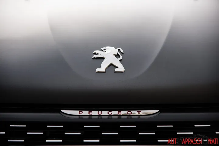 Peugeot 208 GTi 39