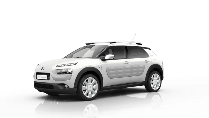 C4 CACTUS W
