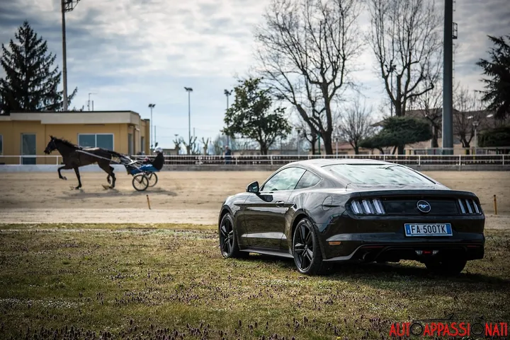 Ford Mustang 17