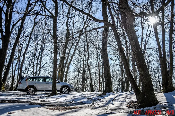Golf alltrack 20
