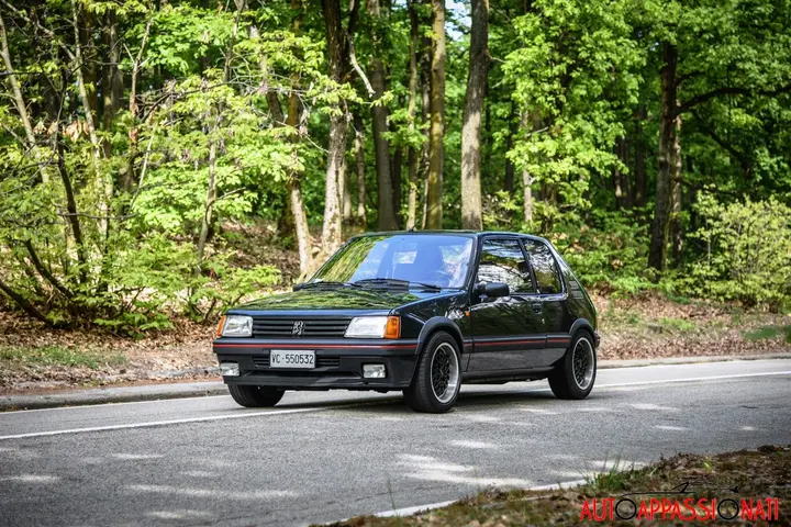 peugeot205gti gtm 007
