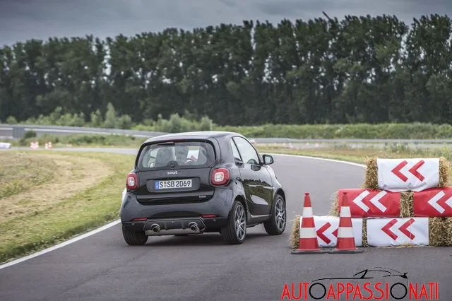 smart 03
