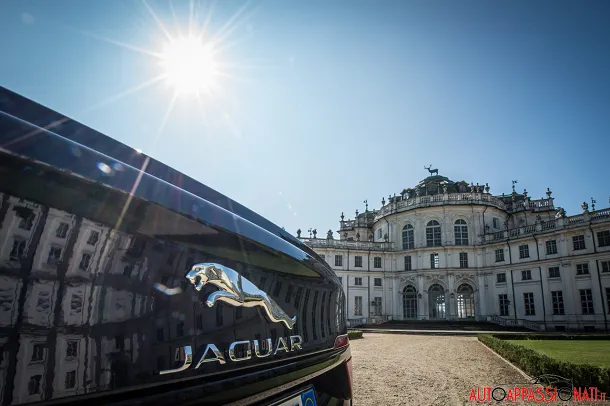 Jaguar logo