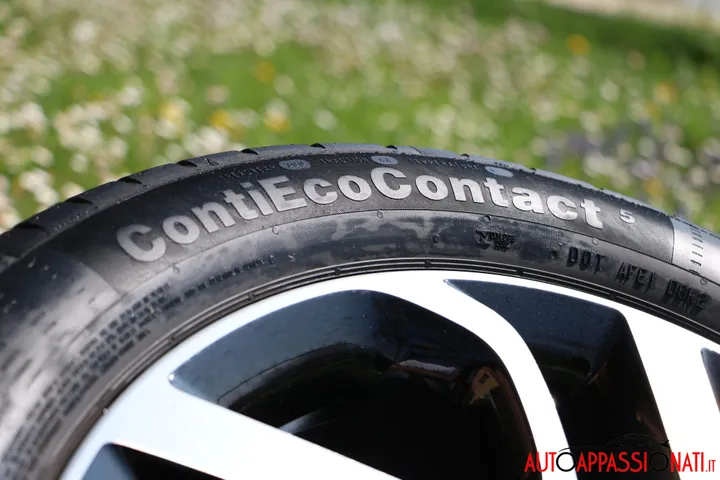 contiecoconctact5