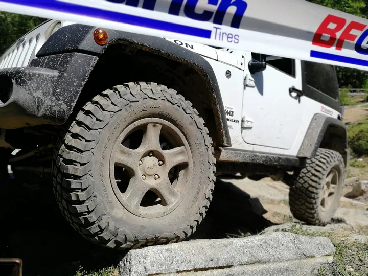 BFGoodrich KM3