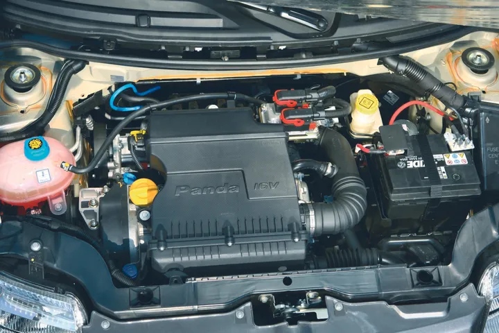  Panda 100 HP