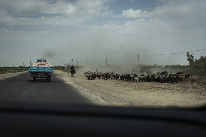 sulle orme della via della seta nukus