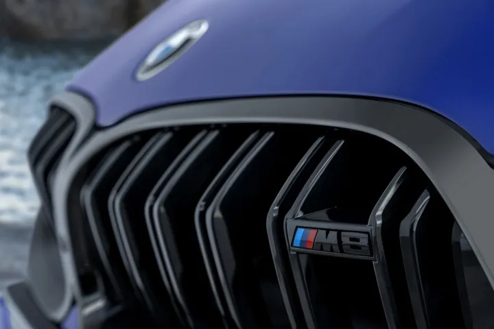 BMW M8
