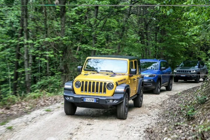 gamma jeep 2019
