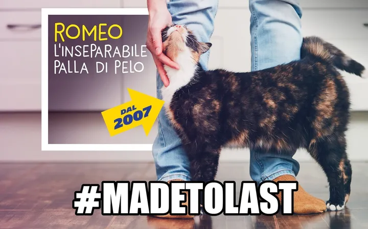  #madetolast
