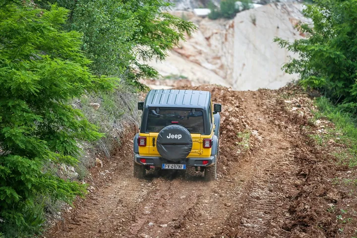 Trail Rated