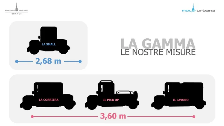 mole urbana