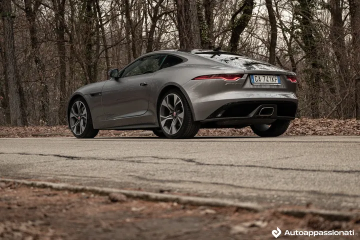 jaguar ftype p30010