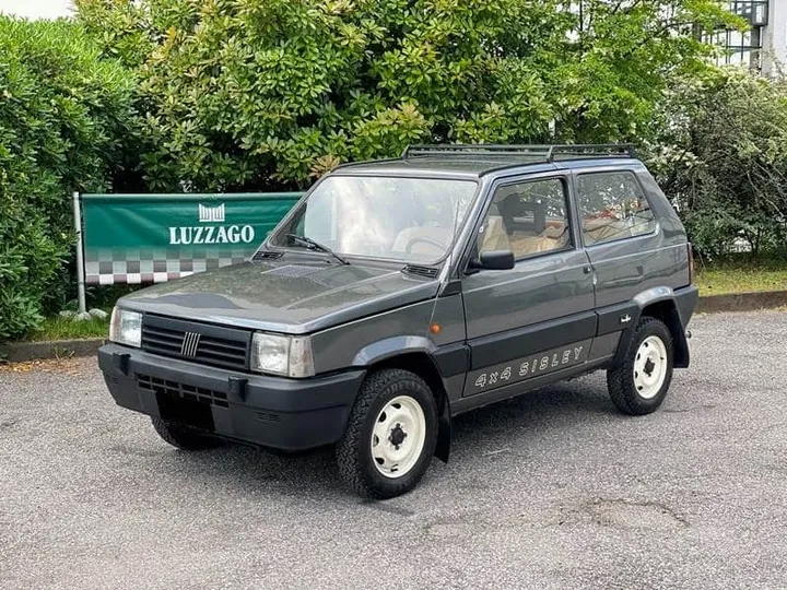 panda 4x4 usata