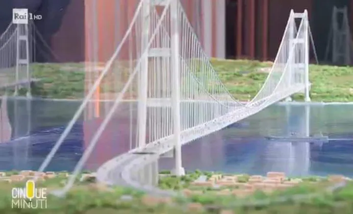 plastico ponte salvini