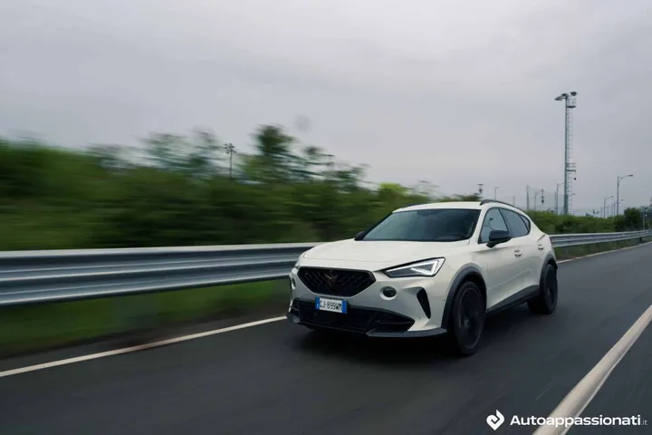 formentor vz5 taiga grey 24