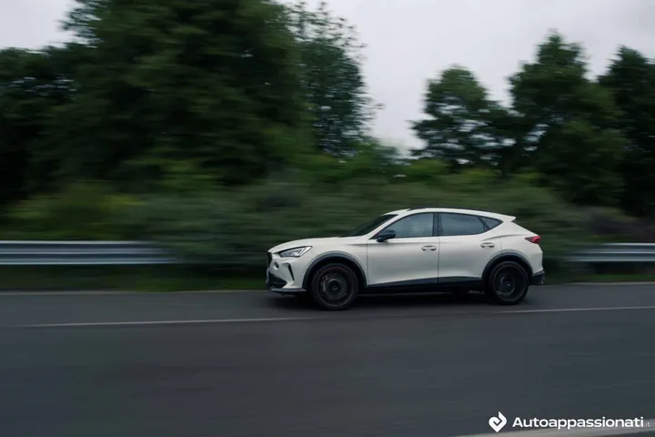 formentor vz5 taiga grey 26