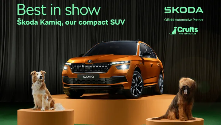 partner cani skoda