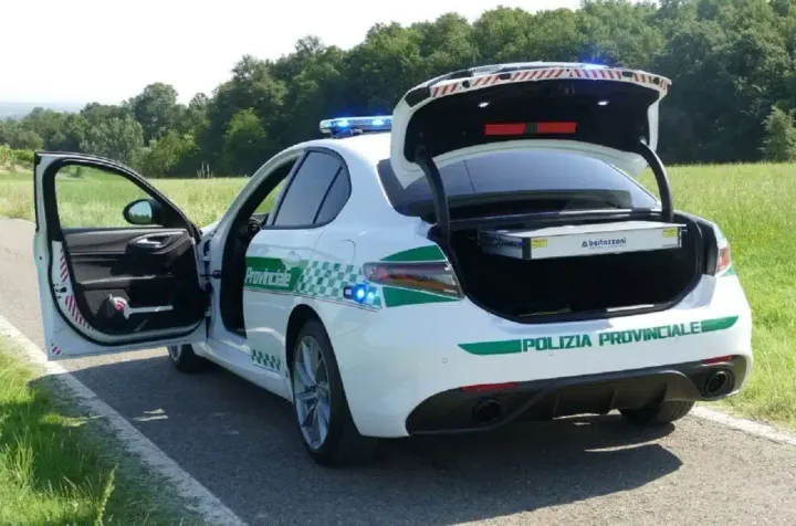 alfa giulia bertazzoni pavia