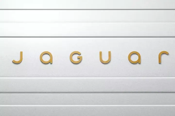 Jaguar brand dati vendita 