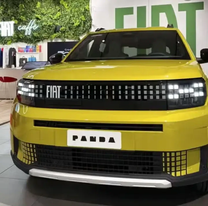 fiat grande pada esposta 1