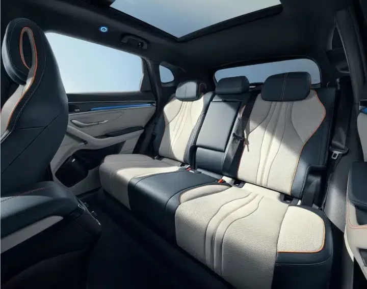 BYD Sedili posteriori