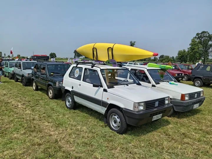Panda Pandino