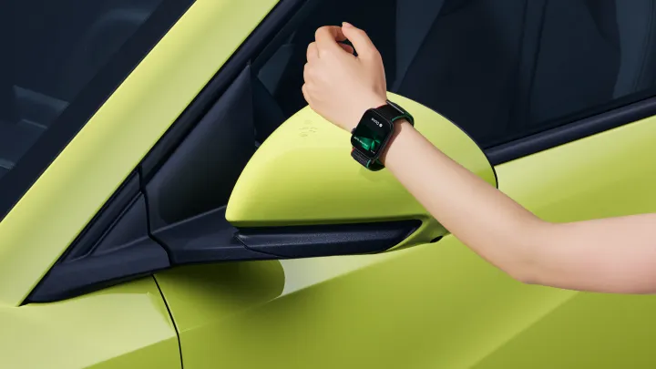 BYD NFC