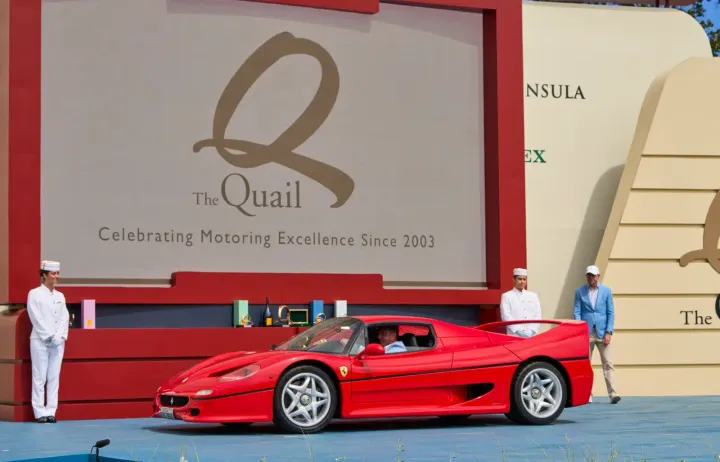 ferrari f50 gt1