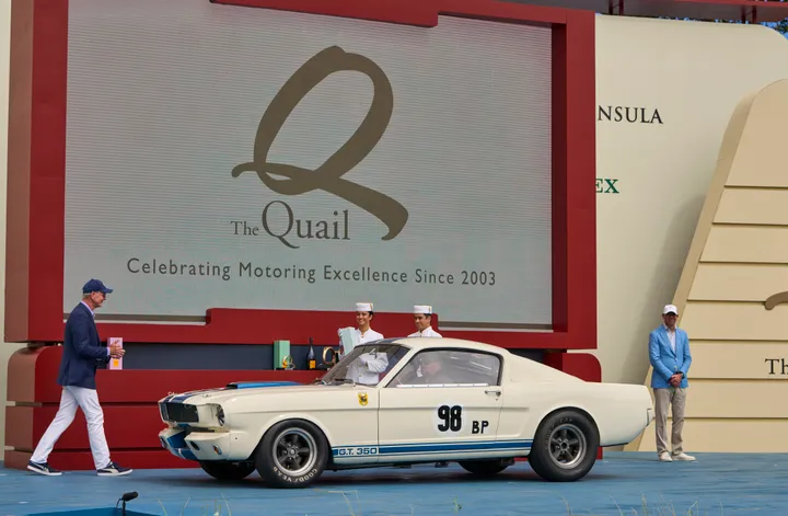 tqmg 2025 dsc8564